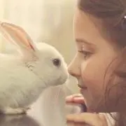 ちょこ