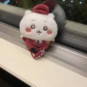 あいきちの画像