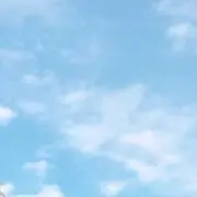 【期間限定値下げ中】ファイティン