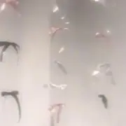 ☪️の画像