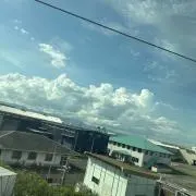 せせせの画像