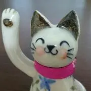 mayuの画像