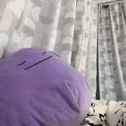 ぽぽしゃの画像