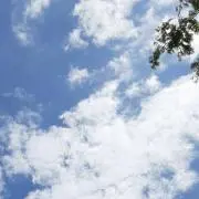 ゆうの画像