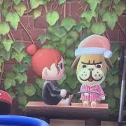 ひめこの画像