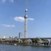 ぽんたの画像