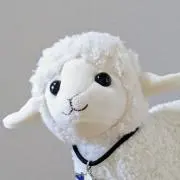 ひなちゅんの画像