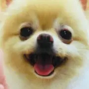 メロ
