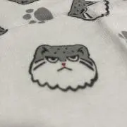 マヌルさん