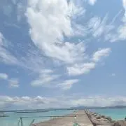 momomoの画像