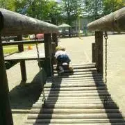 mieの画像