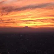 taiの画像