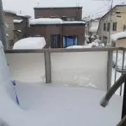 shilva瞳は綺麗梨は休養中です