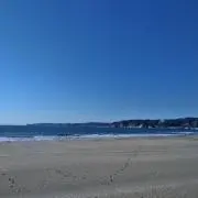 T&Rの画像
