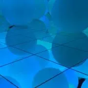 しろくまの画像