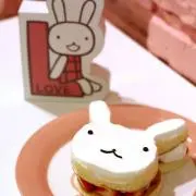 しろうさぎの画像