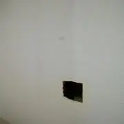 gmbeemの画像