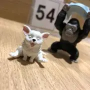 つー(即購入歓迎、優先です)の画像