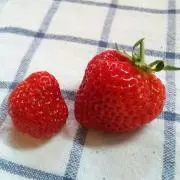 miwa*•.¸¸♪✧