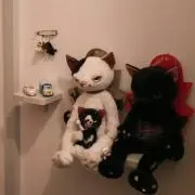 juju.hidarugo