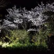 Hirorinの画像
