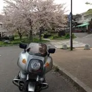 子連れ狼