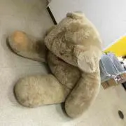 ミルザムの画像