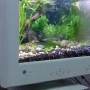 iの画像