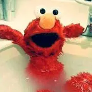 りんでんの画像