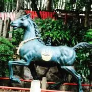 若江城