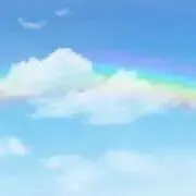 くもの画像