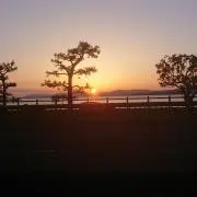 ポッター石川