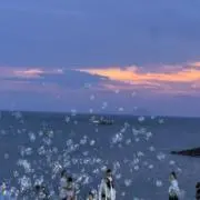 Dalの画像