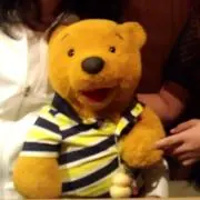 goldenpoohの画像