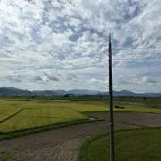ちょこみんとの画像