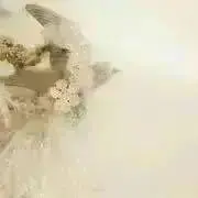 コトリ◯断捨離中の画像