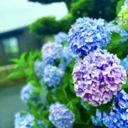 たなかの画像