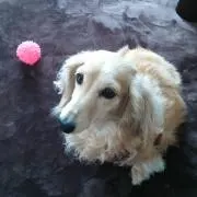 CoCo !