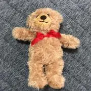 Y C & I T Rの画像