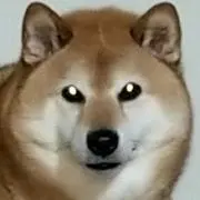 てんどうの画像