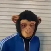 RIE