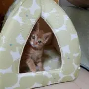ひろ