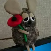 のってぃの画像