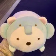 Yankanunes
