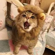 らららの画像