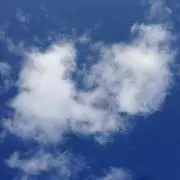 tanaの画像