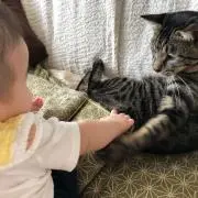 まもこの画像