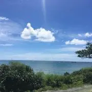 はるりんの画像