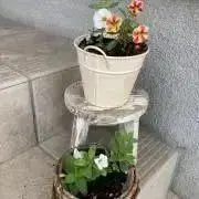 meの画像
