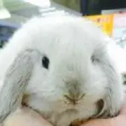 NAOMIN